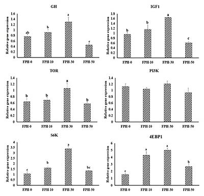 Assessment of Fish Protein Hydrolysates in Juvenile Largemouth Bass (Micropterus salmoides) Diets: Effect on Growth, Intestinal Antioxidant Status, Immunity, and Microflora